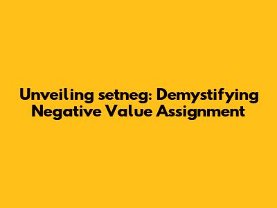 Unveiling setneg: Demystifying Negative Value Assignment