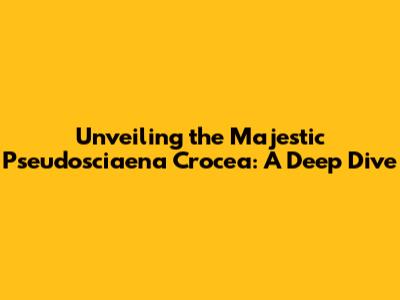 Unveiling the Majestic Pseudosciaena Crocea: A Deep Dive