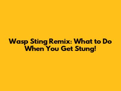 Wasp Sting Remix: What to Do When You Get Stung!