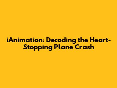 iAnimation: Decoding the Heart-Stopping Plane Crash